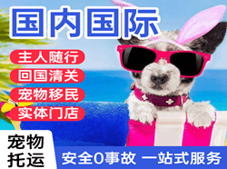 张孝机场快递国际宠物托运 【国